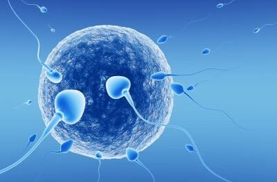 fertility IVF hospital