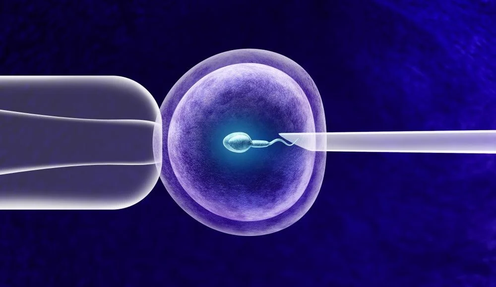 Best IVF Centre in Amritsar