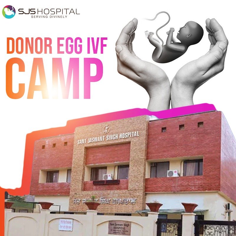 Donor Egg IVF Camp