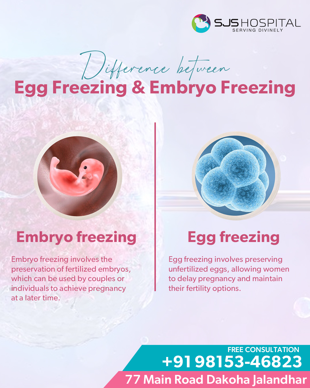 Difference Between Egg Freezing